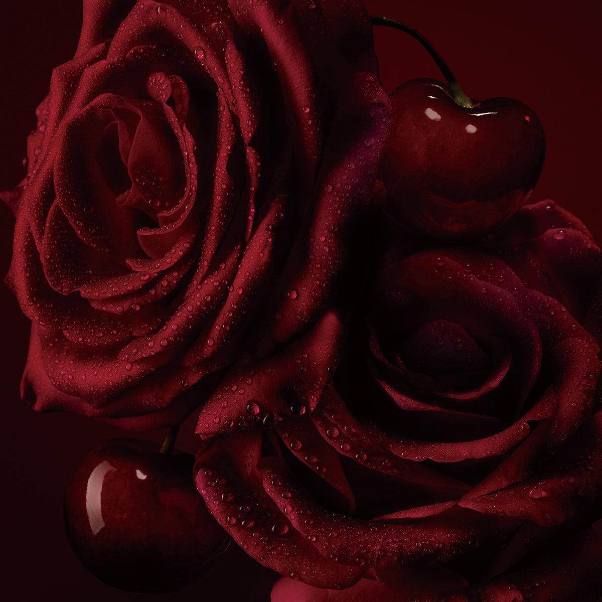 Christian Louboutin La Rose Women Beauty | Color TRANSLUCIDE