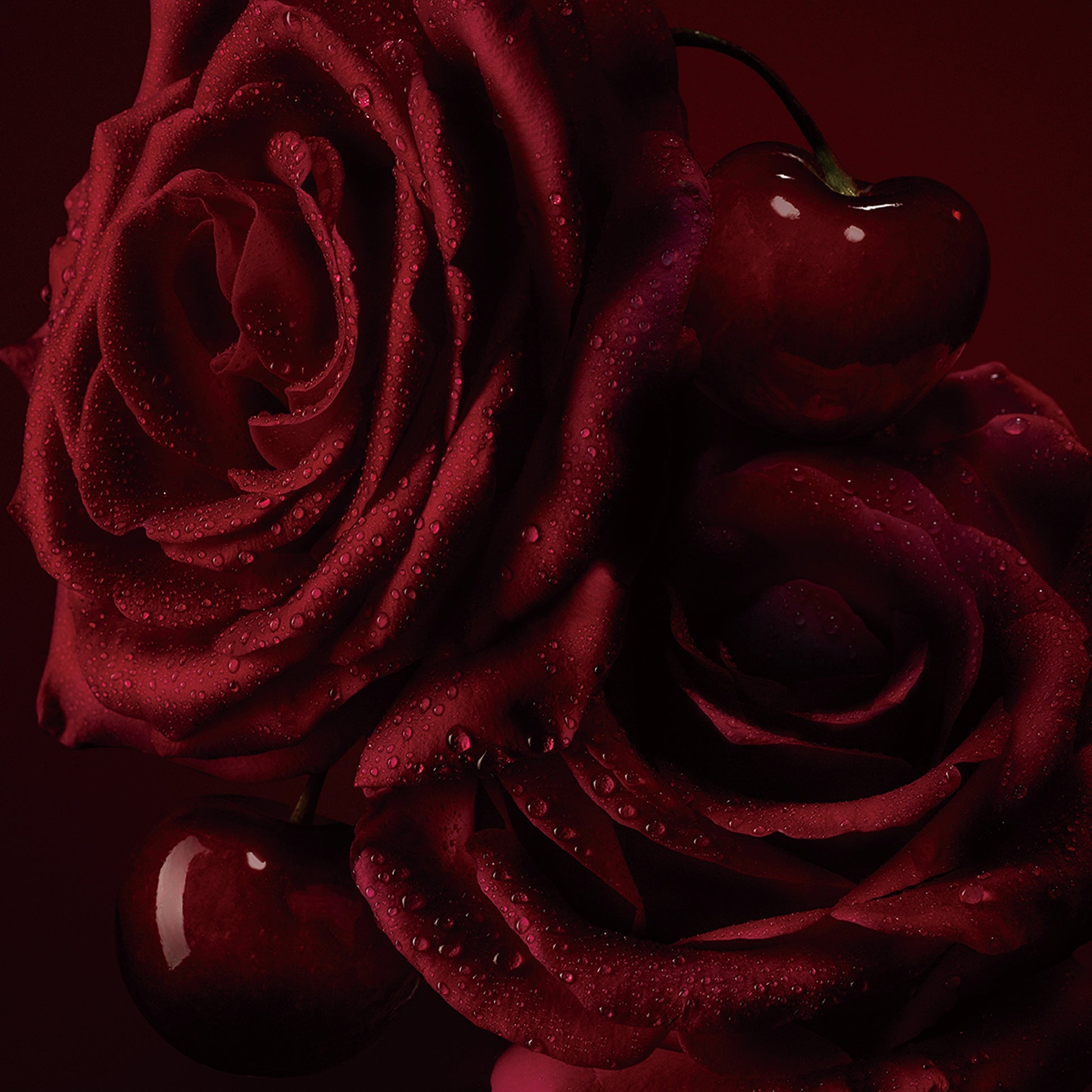 Christian Louboutin La Rose Women Beauty | Color TRANSLUCIDE