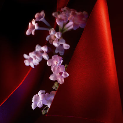 Christian Louboutin Le Cuir Women Beauty | Color TRANSLUCIDE