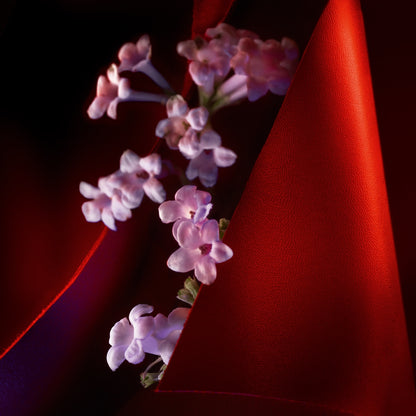 Christian Louboutin Le Cuir Women Beauty | Color TRANSLUCIDE