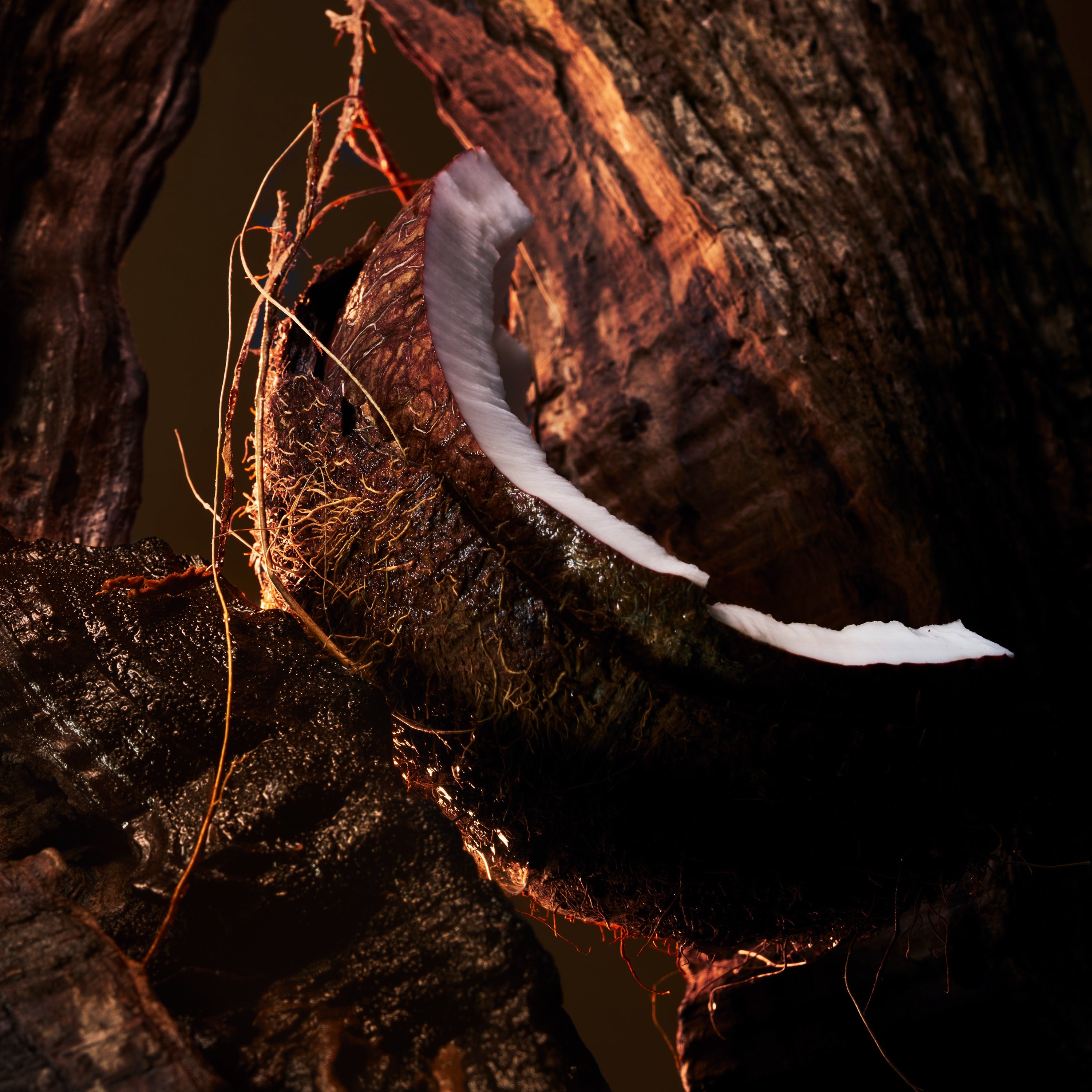 Christian Louboutin L’éBèNe Women Beauty | Color TRANSLUCIDE