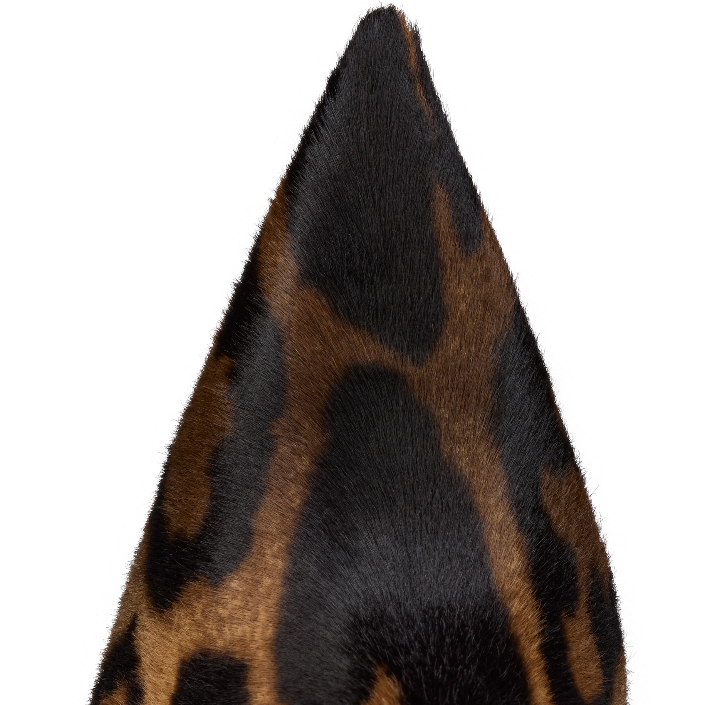 Christian Louboutin Miss Z Botta Women Shoes | Color Brown