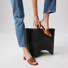 Load image into Gallery viewer, Christian Louboutin So Cl Mule Women Shoes | Color Brown
